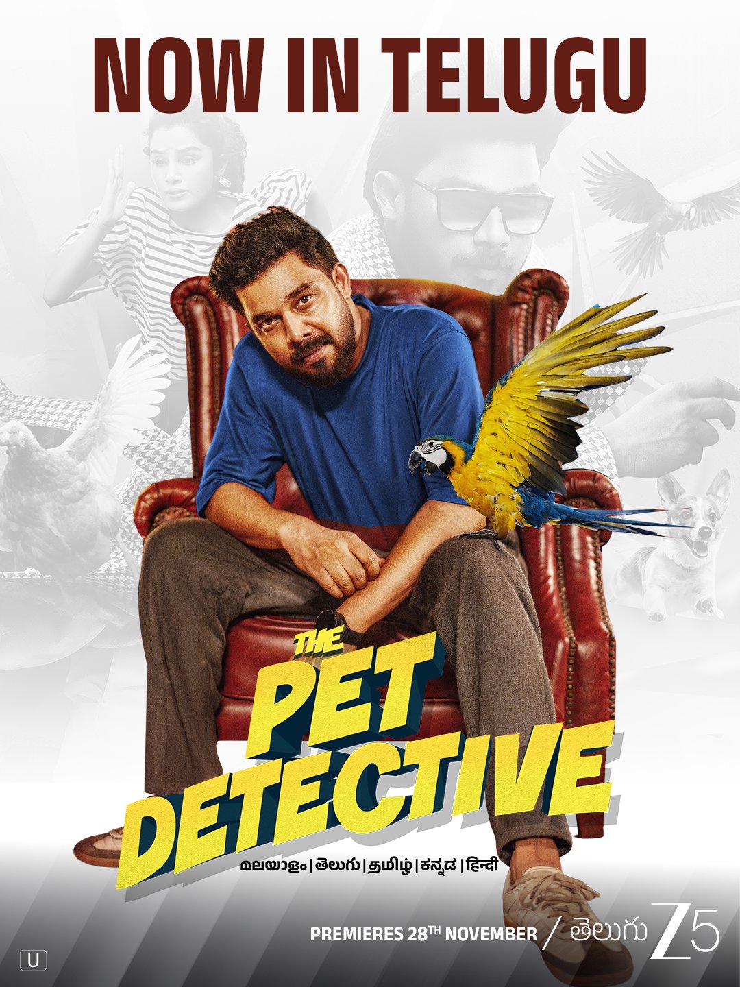 The Pet Detective