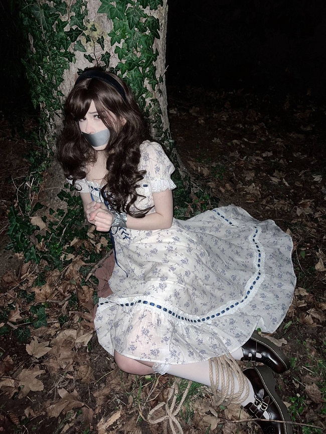 Kidnapped: Elizabeth Smart