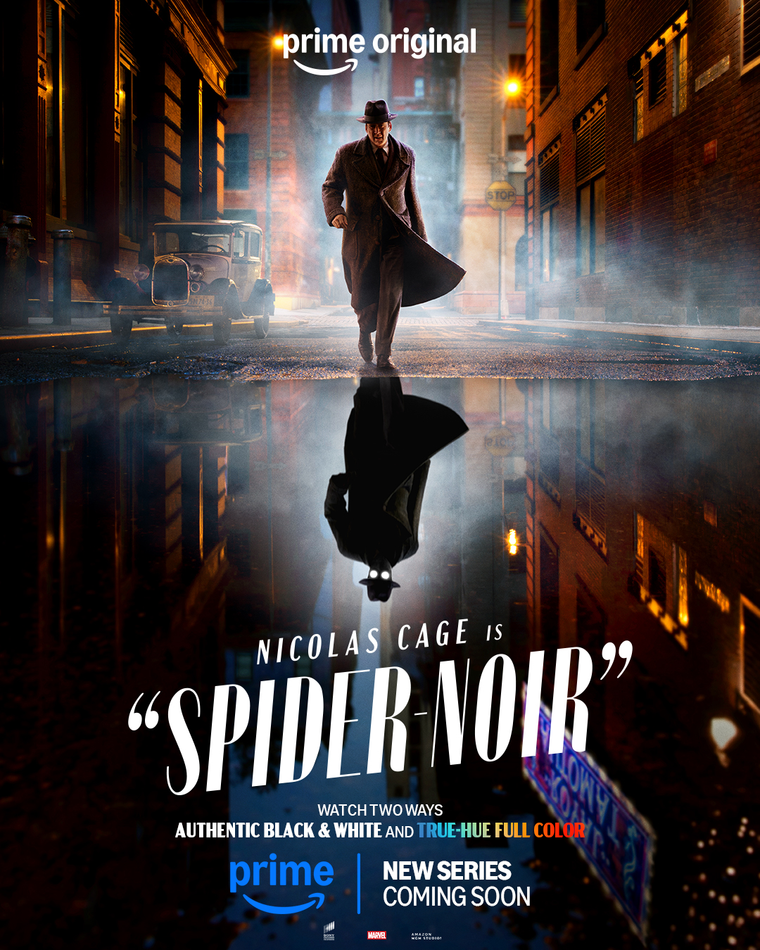 Spider Noir